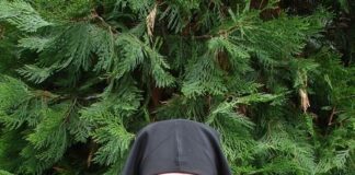 Почина Архимандрит Павел от Светата Бачковска обител