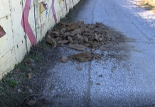 Отново свлачища над Асеновата крепост