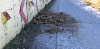 Отново свлачища над Асеновата крепост