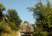 Спазва ли се забраната за преминаване на тежкотоварни автомобили по пътя Асеновград-Лясково