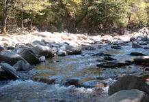 Общината дава 1 800 лева за документи за издаване на разрешително за водовземане от р. Чепеларска