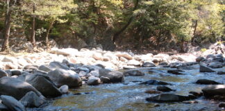 РИОСВ провери сигнал за замърсяване в река Чая