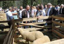 Министерство на земеделието, храните и горите работи в подкрепа на сектор „Животновъдство“