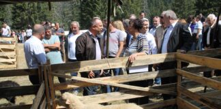 Министерство на земеделието, храните и горите работи в подкрепа на сектор „Животновъдство“