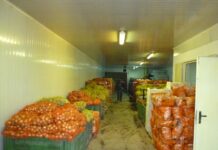 Данъчни наблюдават денонощно борсите за плодове и зеленчуци