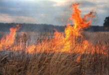 Оранжев код за пожароопасност
