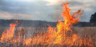 Оранжев код за пожароопасност