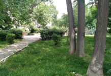 Повечето поливни системи в Асеновград вече функционират