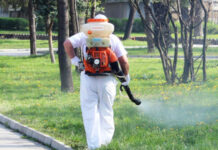 Мият улиците на Асеновград от следващата седмица, пръскат срещу кърлежи до края на месеца