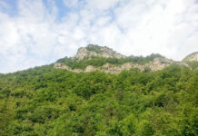 В Асеновград ще се проведе панаир на местните продукти, произвеждани в „Червената стена“