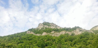 В Асеновград ще се проведе панаир на местните продукти, произвеждани в „Червената стена“