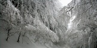 Готовност за зимата в асеновградско