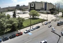 На 11 ноември в района на НДК ще бъде засадено дърво в памет на хората, дарили органи