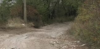 Пловдивска фирма ще преработва проекта на пътя за Мулдавския манастир „Св. Петка“