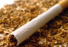 Асеновградски полицаи иззеха 730 килограма ситно нарязан тютюн