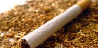 Асеновградски полицаи иззеха 730 килограма ситно нарязан тютюн