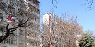 Създадена е организация за редовно извозване на отпадъци и защита на служителите при извънредната ситуация