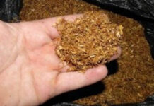 Разкриха организирана престъпна група за разпространение на тютюн