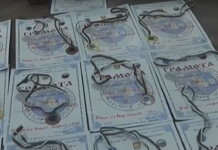 За успехите и очакванията на асеновградския клуб по таекуон-до