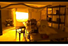 Наркооранжерия бе разкрита в пловдивското село Скутаре