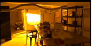 Наркооранжерия бе разкрита в пловдивското село Скутаре