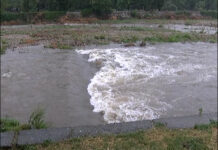 Положението в Асеновград след няколкочасовите валежи