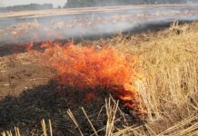 Препоръки за недопускане на пожари по време на жътвената кампания