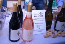 Осем вина и гурме продукти са отличени с награди от конкурса на дефиле „Вино и гурме“