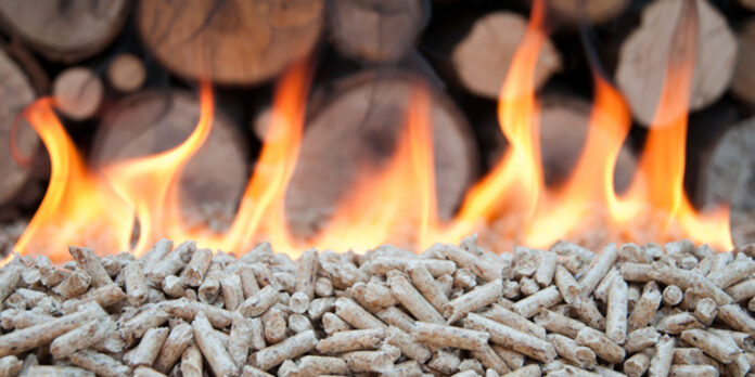 What_is_biomass_and_how_can_your_business_can_benefit