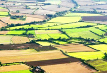 Договорите за наем на земеделски земи се потвърждават с декларация с нотариално удостоверен подпис