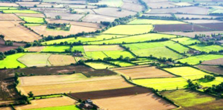 Договорите за наем на земеделски земи се потвърждават с декларация с нотариално удостоверен подпис