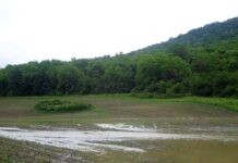 Дават 1 044 775 млн. лева за компенсиране на земеделски стопани