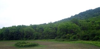 Дават 1 044 775 млн. лева за компенсиране на земеделски стопани