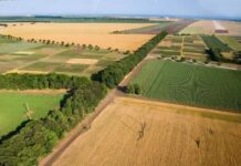 ДФЗ изплати близо 43,5 млн. лева за земеделски земи в НАТУРА 2000