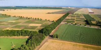 ДФЗ изплати близо 43,5 млн. лева за земеделски земи в НАТУРА 2000