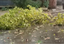 Над 60 сигнала са постъпили в Община Асеновград при вчерашната буря