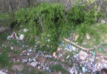 Защо поляни, горски пътеки и красиви местности край Асеновград се превърнаха в сметища