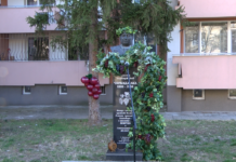 Днес почитаме Свети Трифон