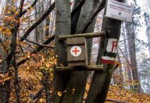 Зареждат с нови медикаменти аптечките в Биосферен парк „Червената стена“