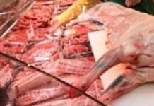 Ветеринарни лекари ще гарантират за закланите агнета във фермите за Великден и Гергьовден