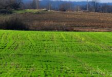 ДФЗ преведе парите по мярка 214 за сеитбооборот