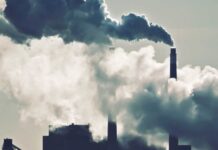 РИОСВ – Пловдив с проверки в Асеновград и района за опазване на биологичното разнообразие в защитени местности и замърсяване на въздуха в града