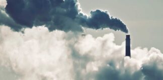 РИОСВ – Пловдив с проверки в Асеновград и района за опазване на биологичното разнообразие в защитени местности и замърсяване на въздуха в града