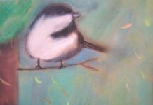 Асеновградчанчета с награда от конкурс за детско хайку