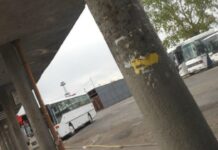 Въвежда се промяна в разписанието на автобусния междуселищен транспорт в община Асеновград