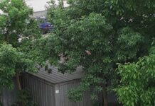 Изхвърлянето на едрогабаритен отпадък край контейнерите в Асеновград продължава