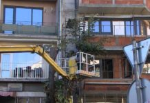 Есенно кастрене и оформяне короните на дърветата тече в Асеновград