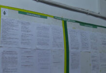 Свободните работни места в ДБТ-Асеновград тази седмица