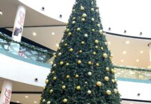 Нови победи за момичетата от БК „Асеновец 2005”, гостувайки в Стара Загора