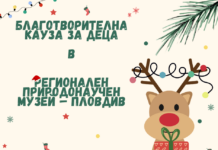 Предколедна благотворителна кампания